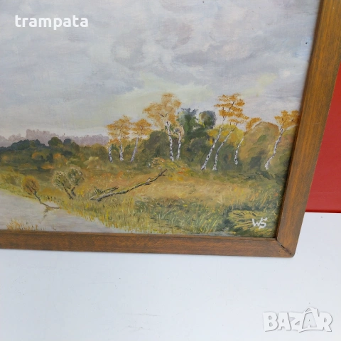 НАЙ ДОБРАТА ОФЕРТАСтара немска картина Подписана  WS (1950-60), снимка 2 - Картини - 54668791