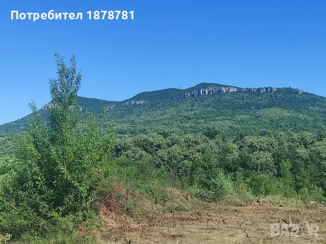 Парцел на главен път Враца Оряхово , снимка 7 - Парцели - 54773815