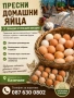 Продавам домашни яйца, снимка 2