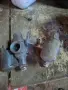 Карбуратори за МЗ трофи, снимка 6