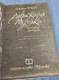 Джайлс Оукли - Дяволската музика , снимка 4