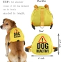 Раница за кучета Reactive, чанта за пътуване (DOG REACTIVE), снимка 2