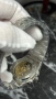 Мъжки часовник Patek Philippe Nautilus Tiffany & Co. Blue Dial, снимка 4