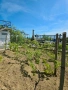Панорамен парцел с морска гледка гр Варна кв Изгрев , снимка 4