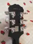 Epiphone Les Paul Standart, снимка 4