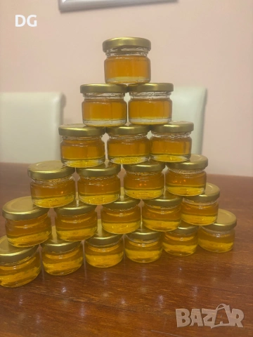 Малки бурканчета пълни с мед-25 мл., снимка 4 - Други животни - 54599960