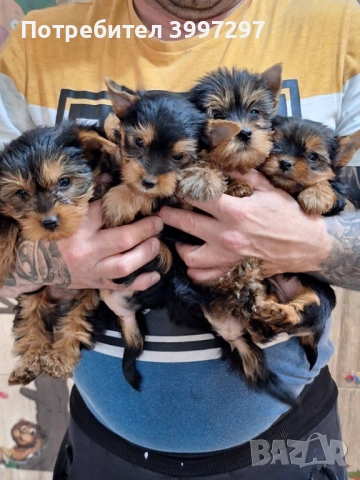 Вече с първа ваксина четири мъжки и едно женско