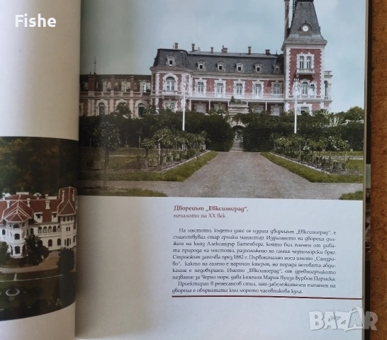 Продавам книгата "Царство България в цвят", снимка 3 - Художествена литература - 54118864