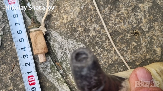 барутница , снимка 3 - Антикварни и старинни предмети - 54403806