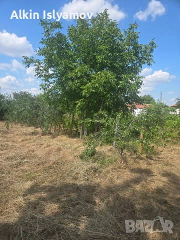 🏡 Продава се къща , снимка 5 - Къщи - 54724975