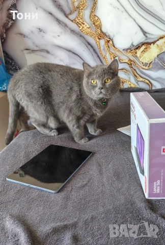 Lenovo Idea Tab 256GB/8GB + Клавиатура + Стилус + Мишка + 4 Калъфа (ГАРАНЦИЯ), снимка 10 - Таблети - 54807921