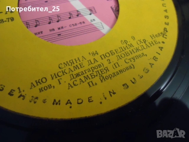 Грамофонни плочи, снимка 13 - Грамофонни плочи - 54403891