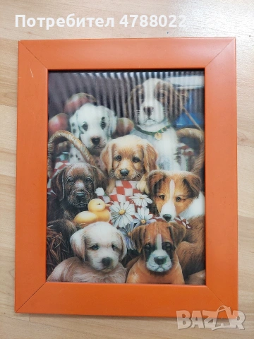 Декорации, картина и детски гривни, снимка 2 - Картини - 54095939