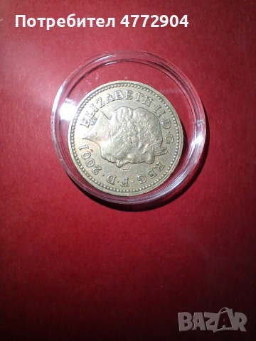 Рядък One Pound 2001 с Грешка 