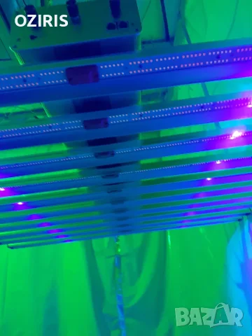 GREEN SENSATION 1000W led grow light, снимка 6 - Лед осветление - 55545107