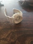 дамски оргинален Casio часовник, снимка 5
