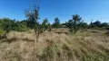 Предоставям дворно място/градина за дългосрочно безплатно ползване, снимка 2