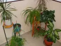 фотоапарат Panasonic Lumix DMC TZ1 , снимка 18