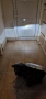 Продавам изцяло рециклирани фарове за W211 (facelift), снимка 6