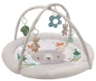 Активна гимнастика KinderKraft - Cozyplay, Koala, снимка 1
