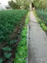 Продавам къща 100кв.м , снимка 15