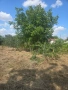 🏡 Продава се къща , снимка 5