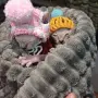 котенца Канадски сфинкс и Елф, снимка 9