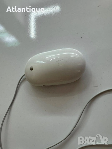 Клавиатура и мишка Apple USB , снимка 6 - Клавиатури и мишки - 55077443
