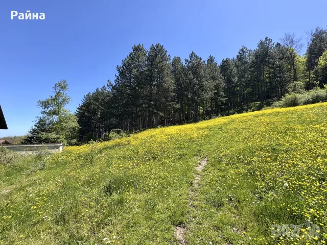 Топ Панорамен парцел с.Тополово, снимка 3 - Парцели - 55383165