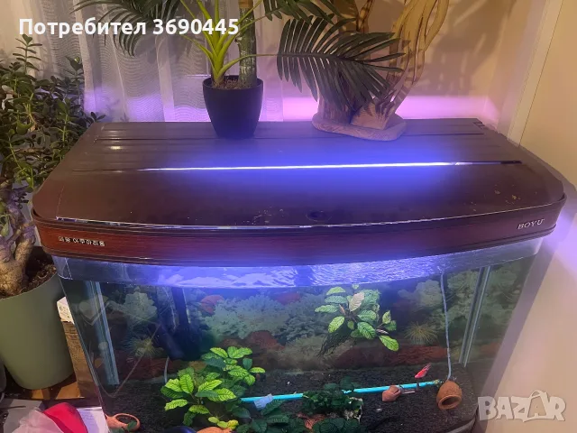 Аквариум извит 500 литра