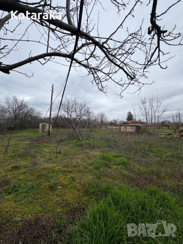 Къща в село Тюркмен , снимка 3 - Къщи - 54033443