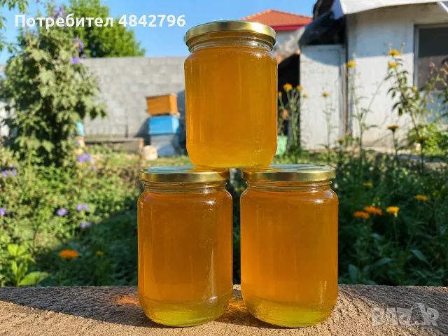 Пчелен мед слънчоглед, снимка 2 - Пчелни продукти - 55317200