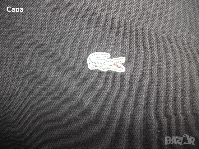 Тениски LACOSTE  мъжки,ХЛ и 3ХЛ, снимка 3 - Тениски - 55618737