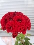 Мушкато(Red Sibil), снимка 1