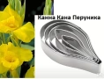 5 бр Канна Кана Перуника цвете резци резец форми форма за фондан тесто торта, снимка 1