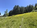 Топ Панорамен парцел с.Тополово, снимка 3