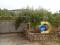 Двуетажна къща в село Динево, обл. Хасково, снимка 6