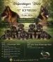 Немски овчарки с дълъг косъм от развъдник , снимка 4