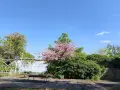 Красиви чаши с коледни мотиви, снимка 2