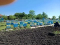 пчелни семейства със кошерите, снимка 2