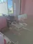 Подарявам и продавам Разградски гълъби, снимка 2