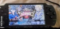 PSP 2003, снимка 8