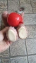 Стара играчка Заек барабанист, снимка 2