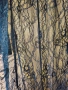 Дантелена наметка H and M XS, снимка 3