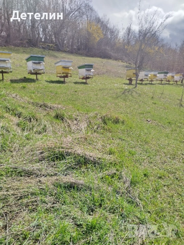 пчелни кошери Дадан-Блат 12 рамкови , снимка 2 - За пчели - 54009773