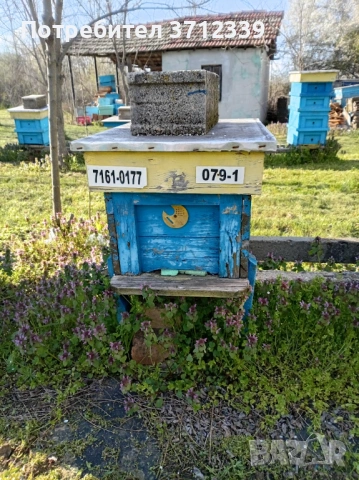 9 рамкови кошери, снимка 4 - Други - 54159745