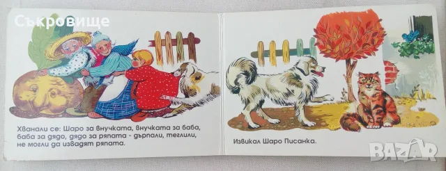 Картонена детска книжка Дядо ряпа вади - Фют - Стефка Радкова, снимка 5 - Детски книжки - 40221861