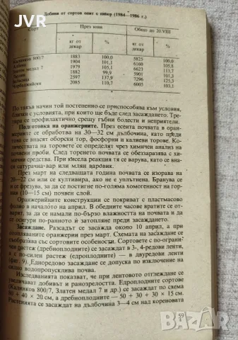 Оранжерийно зеленчукопроизводство, снимка 4 - Специализирана литература - 55408247