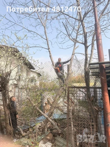 Косене на трева поддръжка + абонамент