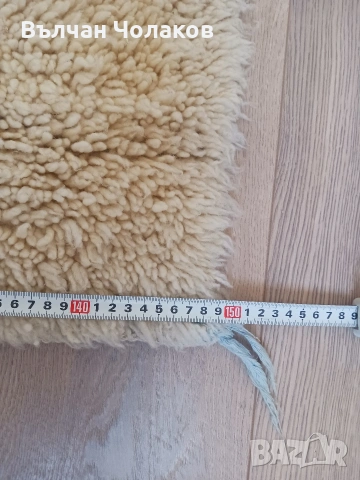 Продавам китеници с къс косъм, снимка 4 - Други - 55257750